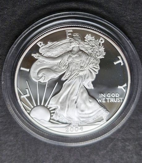2004 - W American 1 oz Silver Eagle DCAM Proof coin