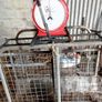 Sheep Weighing Scales Image 4