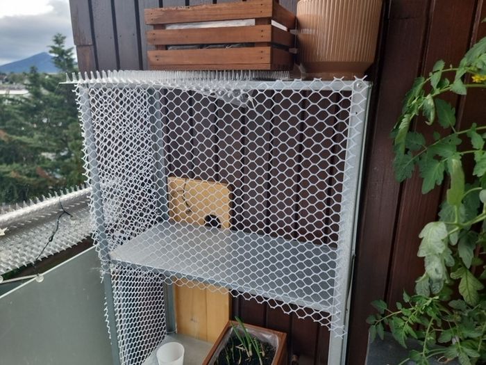 Balcony protection net for cats