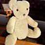 Vintage Long Teddy with Original Amber Glass Eyes 1950s Image 10