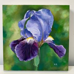 Iris, Oil painting rolled canvas