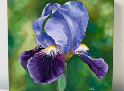 Iris, Oil painting rolled canvas