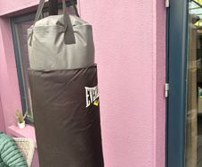 boxing bag with pole