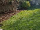 lawn care landscape and garden services Image 4