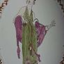 Ceramic tile Image 5