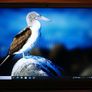 Laptop Dell Vostro 3500 Win11 8gb Ram 256gb Ssd I5-1135g7 Cpu Image 9