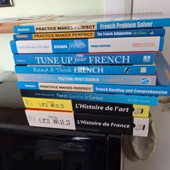Self teaching French language books