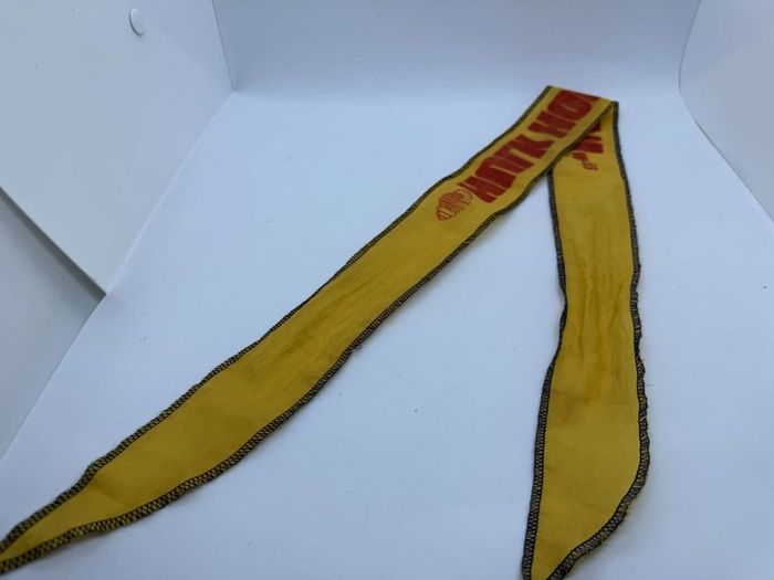 wwe WWF Hulk Hogan Vintage headband