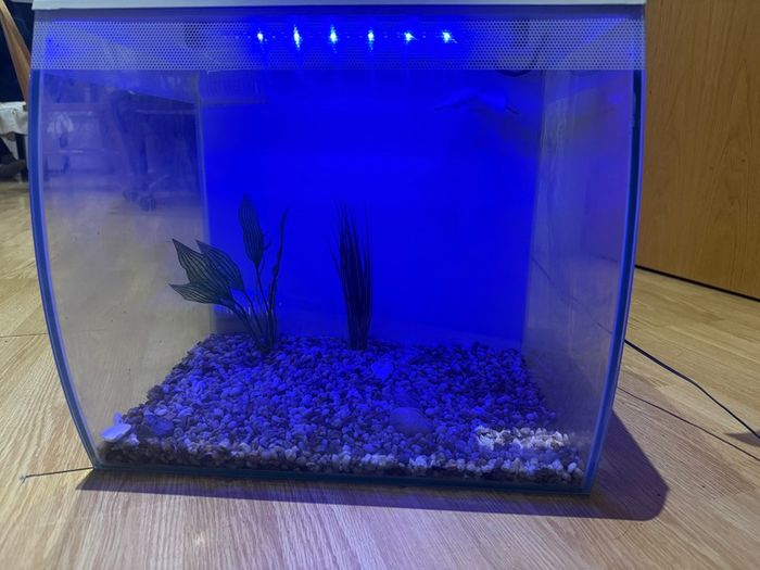 Fish tank
