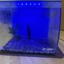 Fish tank Image 7