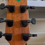 Harley Benton gs-travel-e mahogany Left handed Image 4