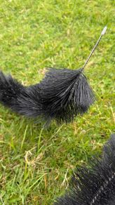 Gutter Brush Black