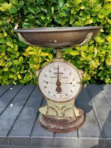 Salter scales
