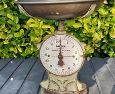 Salter scales