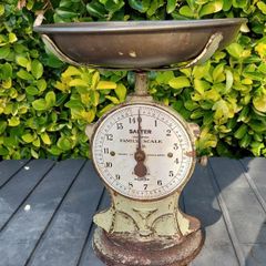 Salter scales