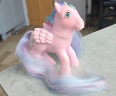 Brilliant Bloom Princess Brush N Grow Ponies MLP G1 My Little Pony