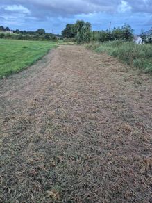 Grass silage