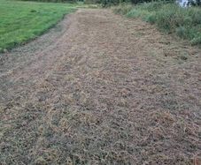 Grass silage