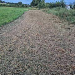 Grass silage
