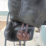 Berneys jumping saddle Image 4