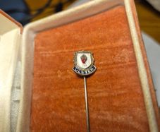 Vintage Enamel Tourist Shield Charm | Ulster Northern Ireland | Tourist Birthplace Souvenir