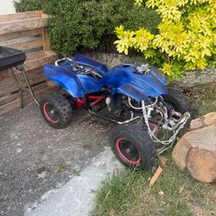 50cc 2 stroke quad unfinished project