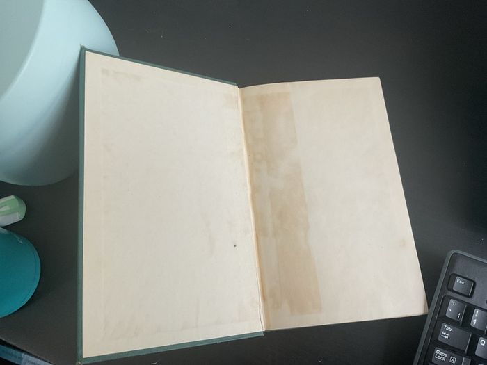 Biographical dictionary of Irishmen in France by Richard Hayes. Irish history books