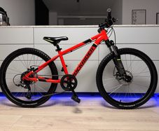Rockrider ST900 Sport Trail Disc Kids Bike 24 inch