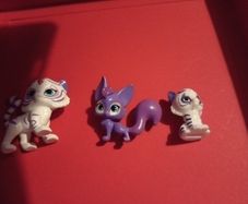 shimer and shine pets