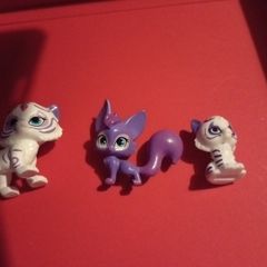 shimer and shine pets
