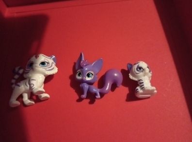 shimer and shine pets