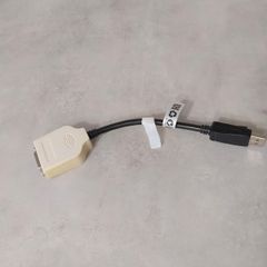 Display port to DVI Adapter