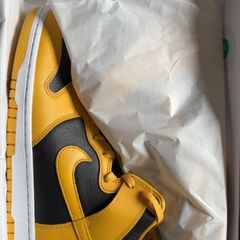 Wu-Tang x Nike Dunk Highs