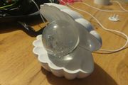 Light Up Shell