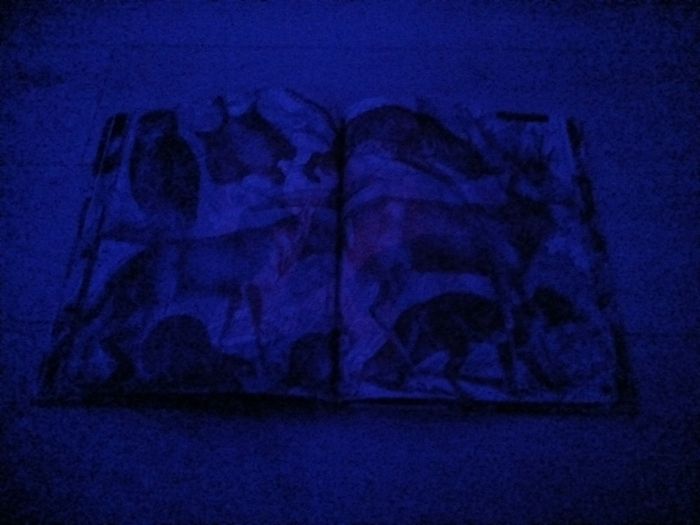 Children's book illuminature