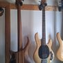 Peavey cirrus 5 walnut Image 2