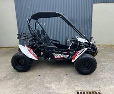 Off road petrol Buggy