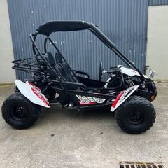 Off road petrol Buggy