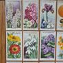 Vintage Cigarette cards Image 2