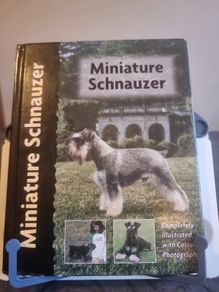 Miniature Schnauzer (Pet love)
