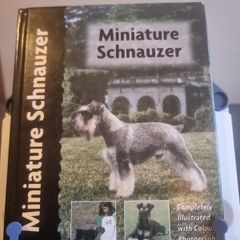 Miniature Schnauzer (Pet love)