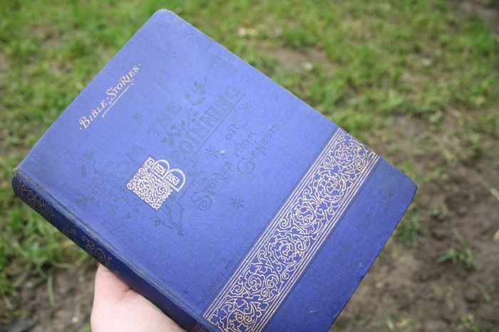 Bible Stories From the Beginning. Stories From Genesis. Morton, G E