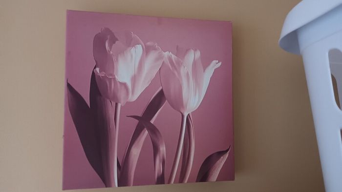 Canvas x 3