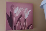 Canvas x 3