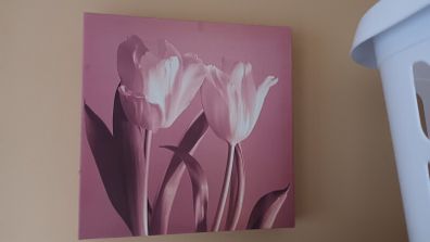 Canvas x 3
