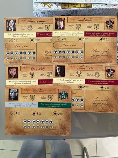 Harry Potter a year at Hogwarts