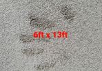carpet 6ft x 13ft