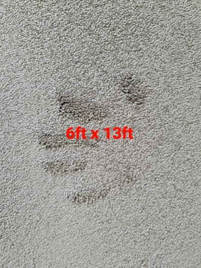 carpet 6ft x 13ft