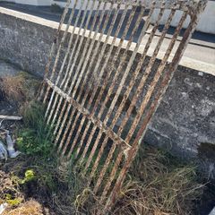 Old garden steel gate
