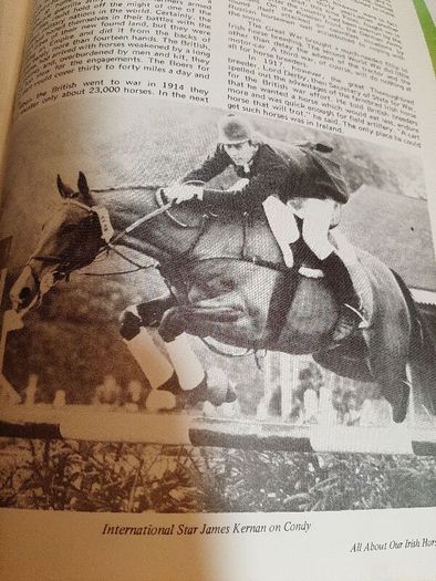 Our irish horses 1980's